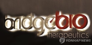 브릿지바이오, 베링거인겔하임에 폐질환 신약 기술수출 | 연합뉴스