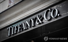 루이뷔통, 美보석브랜드 티파니 19조에 인수키로…中젊은층 공략 | 연합뉴스