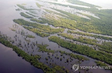 아마존 밀림 볼 수 있는 건 현세대가 마지막일 수도 | 연합뉴스