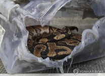 태국 방콕 명소 짜뚜짝 시장서 화재…