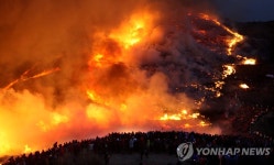 <화왕산 억새태우기 재앙 안고 강행> | 연합뉴스