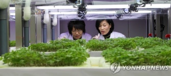 경기농기원, 로봇 이용한 미래형 식물농장 개관 | 연합뉴스