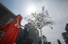 희망의 나무가 되어 | 연합뉴스
