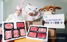 G마켓, 한우·한돈 반반세트 출시 | 연합뉴스