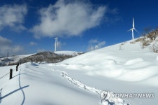 마지막 겨울을 즐겨라…하늘목장 눈꽃축제 한창 | 연합뉴스