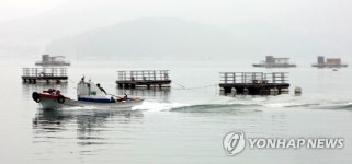 하동 대도마을 좌대 낚시터 | 연합뉴스