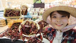 햇 건고추는 롯데마트에서 | 연합뉴스