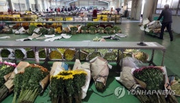졸업철 왔지만…화훼 공판장엔 한숨소리만 가득 | 연합뉴스
