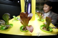 똑똑한 농장 | 연합뉴스