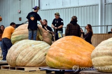 미 매사추세츠주 지방축제에 나온 초대형 호박 | 연합뉴스