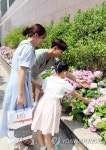 신세계백화점, S가든에 수국 2만 5천 송이 선보여 | 연합뉴스