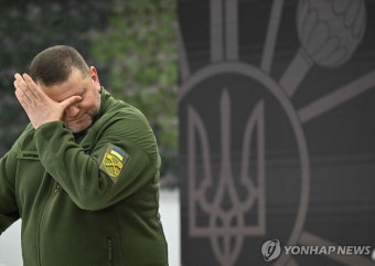 격전지 마린카서 병력 철수 인정한 우크라 총사령관 | 연합뉴스
