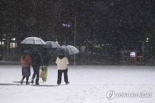강원 향로봉 49.6㎝ 등 폭설…10∼20㎝ 더 온다 | 연합뉴스