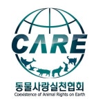 [취재가랏 인턴기자!] 강아지 5일 입원비가 161만원?…동물병원 가기 겁나요 | 연합뉴스