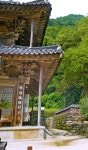 [imazine] 지리산을 부탁해·지리산아 부탁해 ① | 연합뉴스