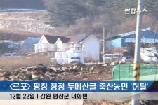 <르포> 평창 청정 두메산골 축산농민 `허탈 | 연합뉴스