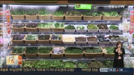 가락시장에 연중무휴 24시간 농수산쇼핑몰 개장 | 연합뉴스