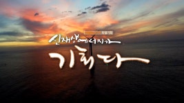 [특별기획] 신재생 에너지가 기회다 | 연합뉴스