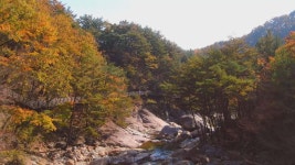 지리산 대원사 계곡길에서 만추의 힐링 즐겨요 | 연합뉴스