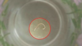 서울 가정집도 유충…정수장·배수지 이상없어 | 연합뉴스