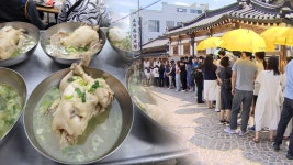 초복날 삼계탕집 북적·보신탕집 한산…동물단체 집회도 | 연합뉴스