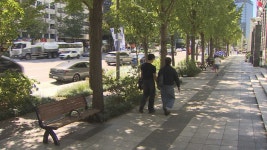 서울 교차로·교통섬에 가로수…보행 안전성 높인다 | 연합뉴스
