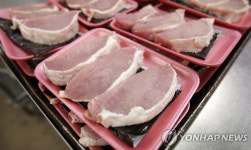 美농무부, 돼지고기 안전조리 온도 8℃↓ | 연합뉴스