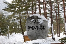 강릉 솔향수목원 제2전시온실 조성 볼거리 풍성 | 연합뉴스