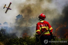 남부 유럽 잇단 대형 산불로 비상…주민 수만명 대피 | 연합뉴스