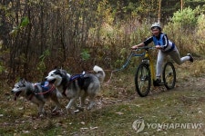 애견 동반 육상 경주…러시아 베르데스크 | 연합뉴스