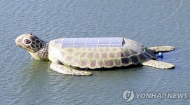<가평 호명호수에 거북 모양 태양광 발전시설> | 연합뉴스