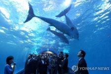 승원자판기고래생태체험관 | 울산 장생포에 고래생태체험관 개관 | 연합뉴스