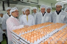 계란 가공업체 방문한 농식품부 장관 | 연합뉴스