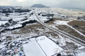 제주도 3일간 폭설·강풍 피해액 52억5천만원 | 연합뉴스