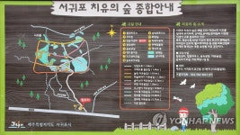서귀포 치유의 숲 6월 개장…휴양치유 프로그램 운영 | 연합뉴스