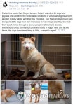 미국 동물보호단체, 한국 내 식용견 농장서 개 30마리 구출 | 연합뉴스