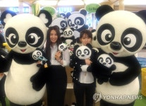 판다(PANDA)드럭스토어 | '에버랜드 판다월드' 팝업스토어로 오세요 | 연합뉴스