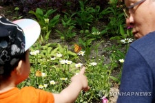나비정원에서 나비 관람하세요 | 연합뉴스