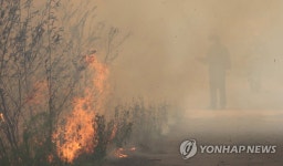 앞이 안보이는 삼척 산불 | 연합뉴스