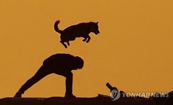 황금빛 노을 속에서 점프 | 연합뉴스