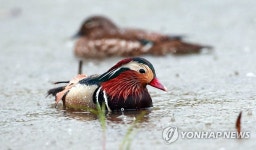 한라산 422㎜·서울 69㎜…내일도 경남해안·제주 많은 비 | 연합뉴스