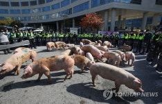 싸우면 이긴다 대청해전 영웅 참수리 325정 | 연합뉴스