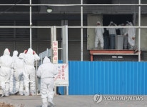 예방적 살처분 진행 중인 화성 산란계 농장 | 연합뉴스