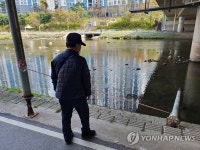쓰러진 성남 분당 돌마교 보행로 임시 보강구조물 | 연합뉴스