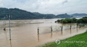 침수된 공주 금강신관공원 | 연합뉴스