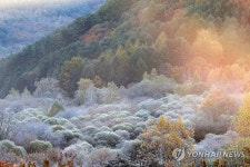 서리와 물안개…강원 인제 비경에 몰린 사진가들 | 연합뉴스