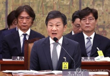 정몽규, 홍명보, 문화체육관광위 현안 질의 증인 출석 | 연합뉴스