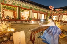 봄꽃 핀 경복궁 밤 정취 즐겨요…내달 1일부터 야간관람 | 연합뉴스