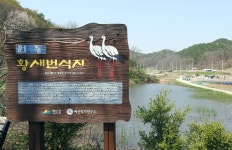 80여년 만에 다시 예산군 대술면에서 황새 둥지 틀고 번식 성공 | 연합뉴스