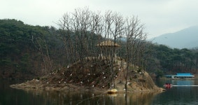 [르포] 가마우지 떠난 원주 거북섬…죽음의 섬에 움트는 생명력 | 연합뉴스